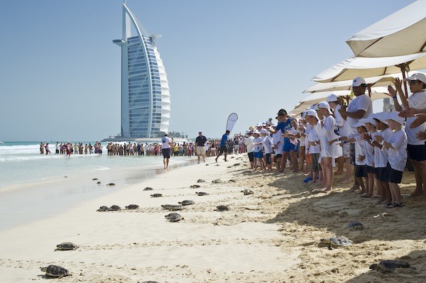 Turtle Rehabilitaion Centre, Burj al-Arab, Dubai 